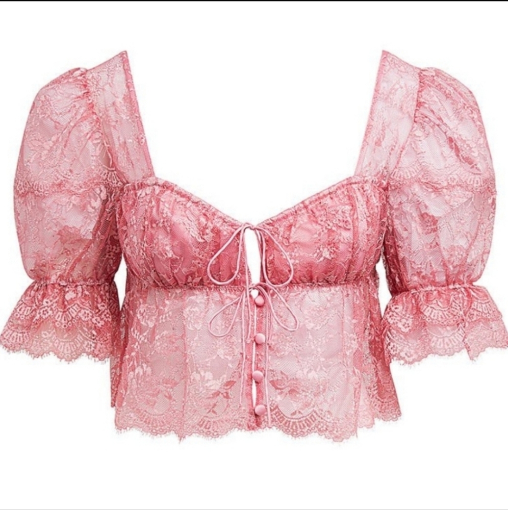 For Love and Lemons Shimmer Lace Blouse - Picture 4 of 4